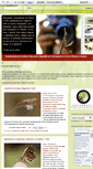 Mobile Screenshot of invertebradosdehuesca.com